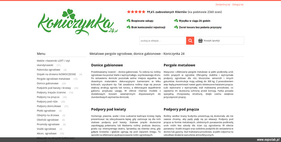 koniczynka-24