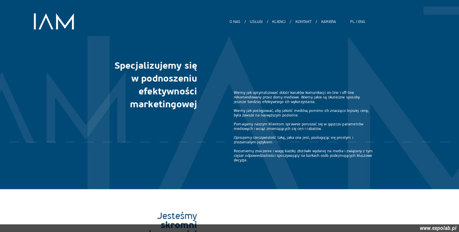instytut-audytu-mediowego