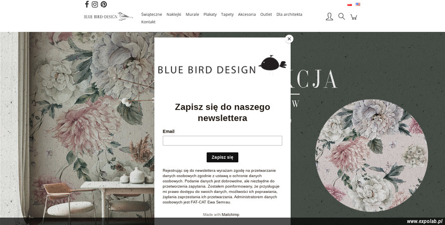 bluebird-design