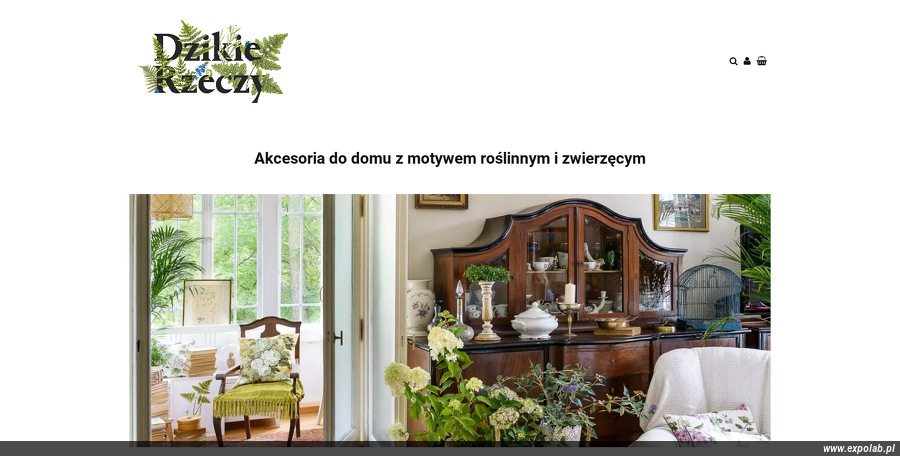dzikie-rzeczy-joanna-dunin-holecka