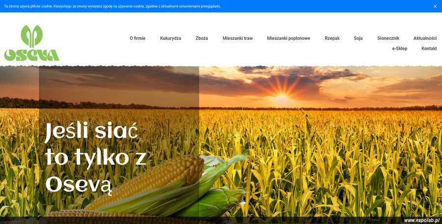 oseva-polska-sp-z-o-o